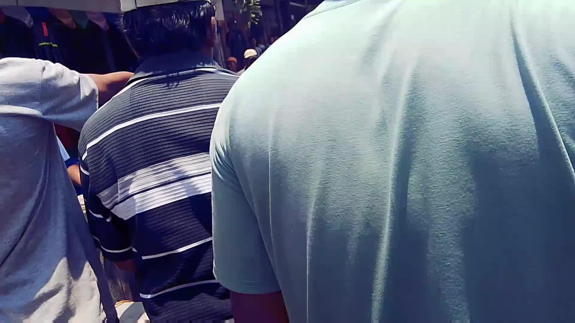 evakuasi sapi dari dalam gorong-gorong 