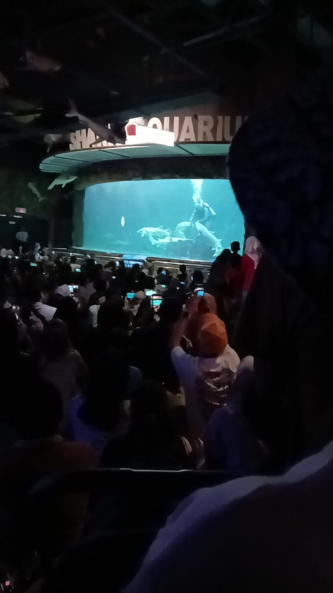 seaworld🐳🐋🐬🐟
#RCTIPlus #HOTrctiplus #masyaAllah #holiday 