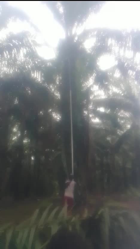 semngat pejuang receh..