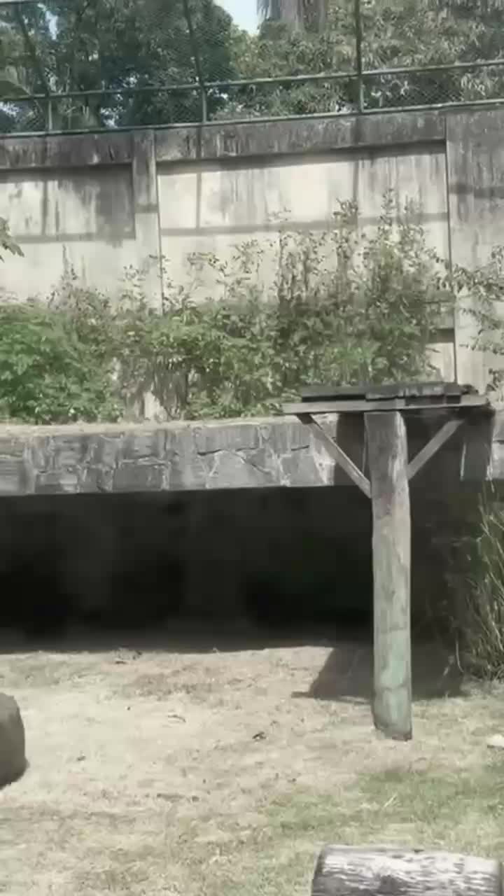 setor nywa  #kejadian  #hariini  #berita  #korban 