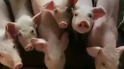 bahaya merokok dalam filter terdapat 