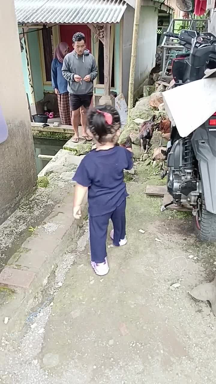 kecil kecil ngangon ayam  #short  #HOTrctiplus 