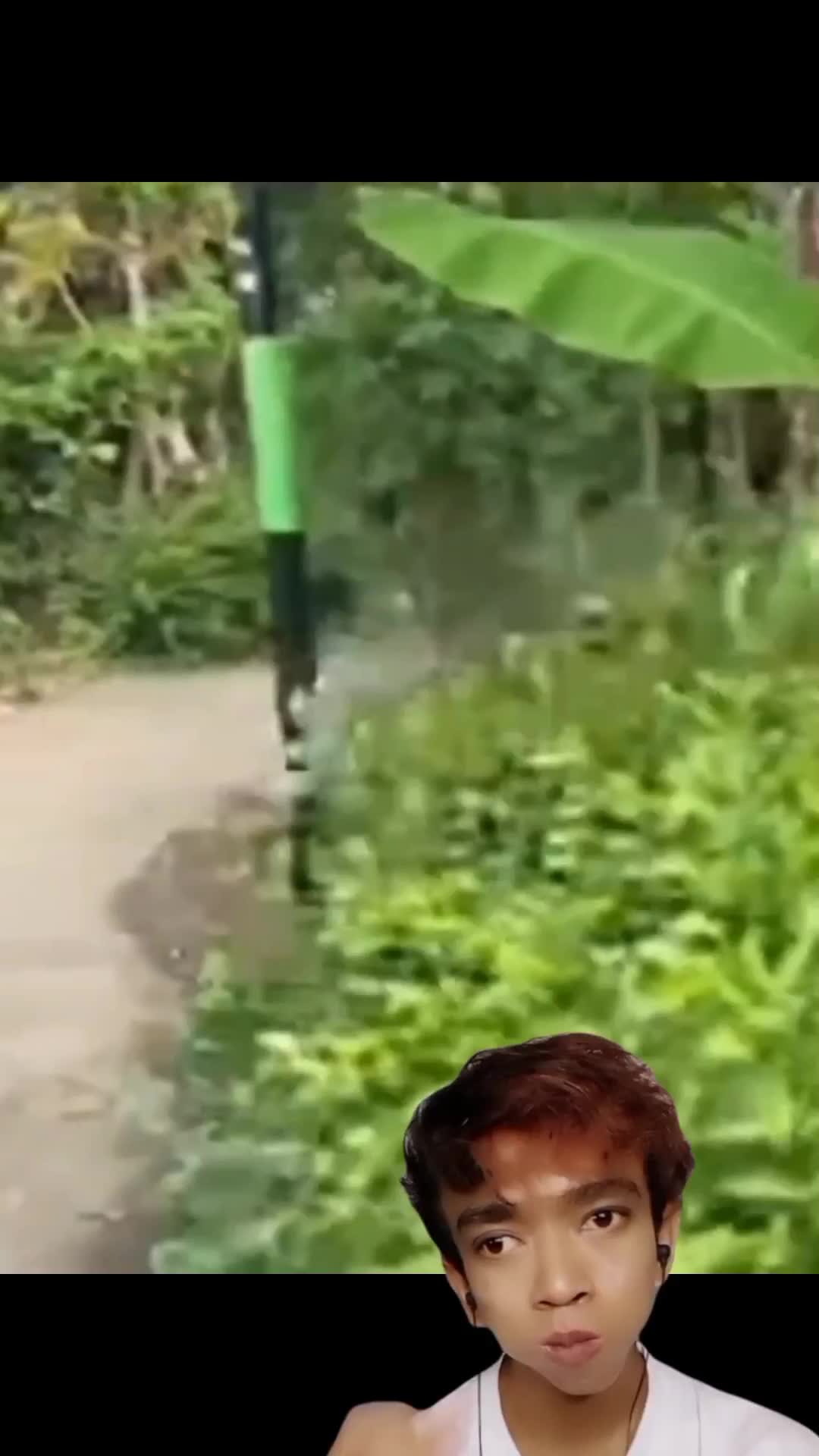 di Jawa ga ada kata jatuh.adanya macam macam 🤣🤣🤣 #duett #lucu #reactiont 