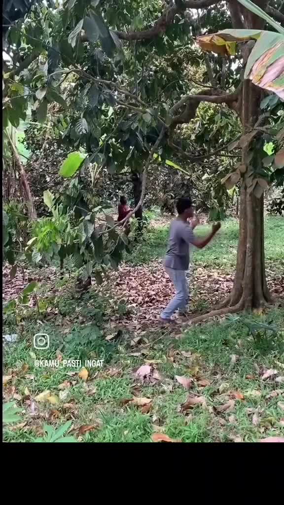 Stop Judol Stop Pinjol  #videolucu  #lucu 