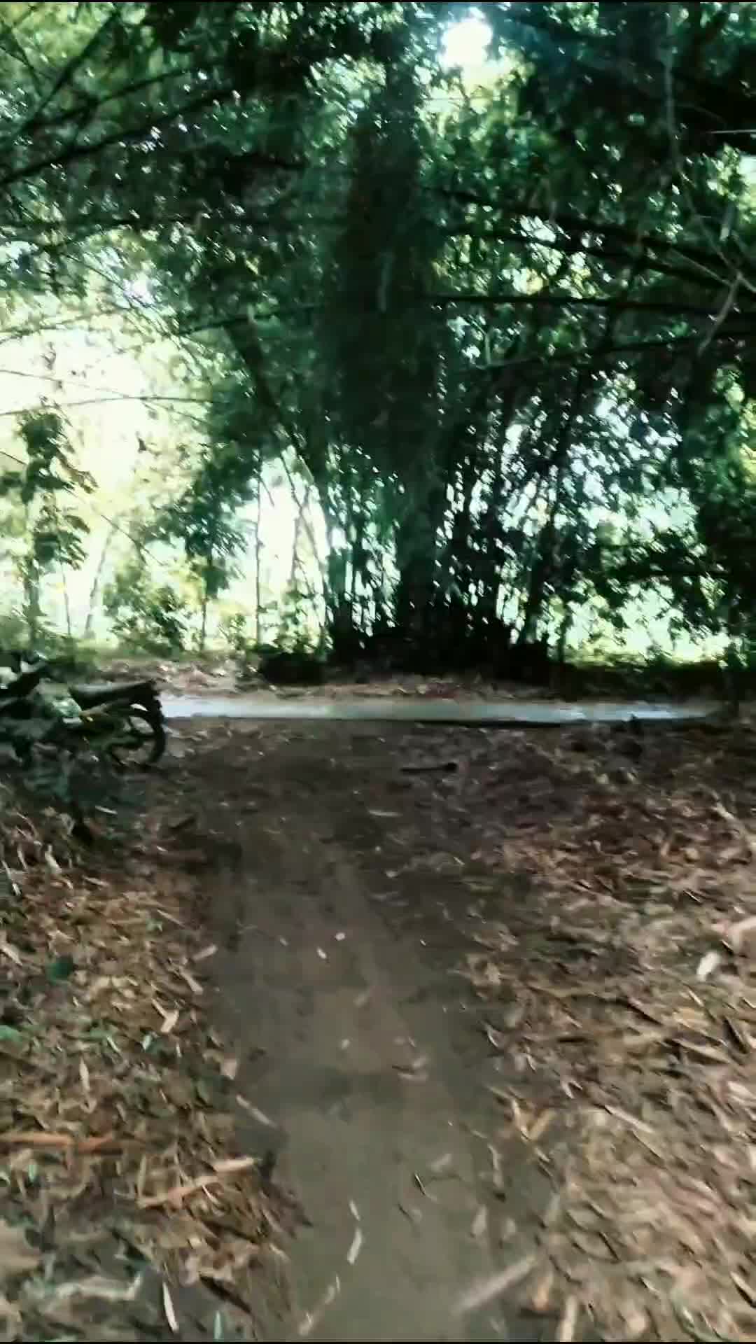 vibes 90an