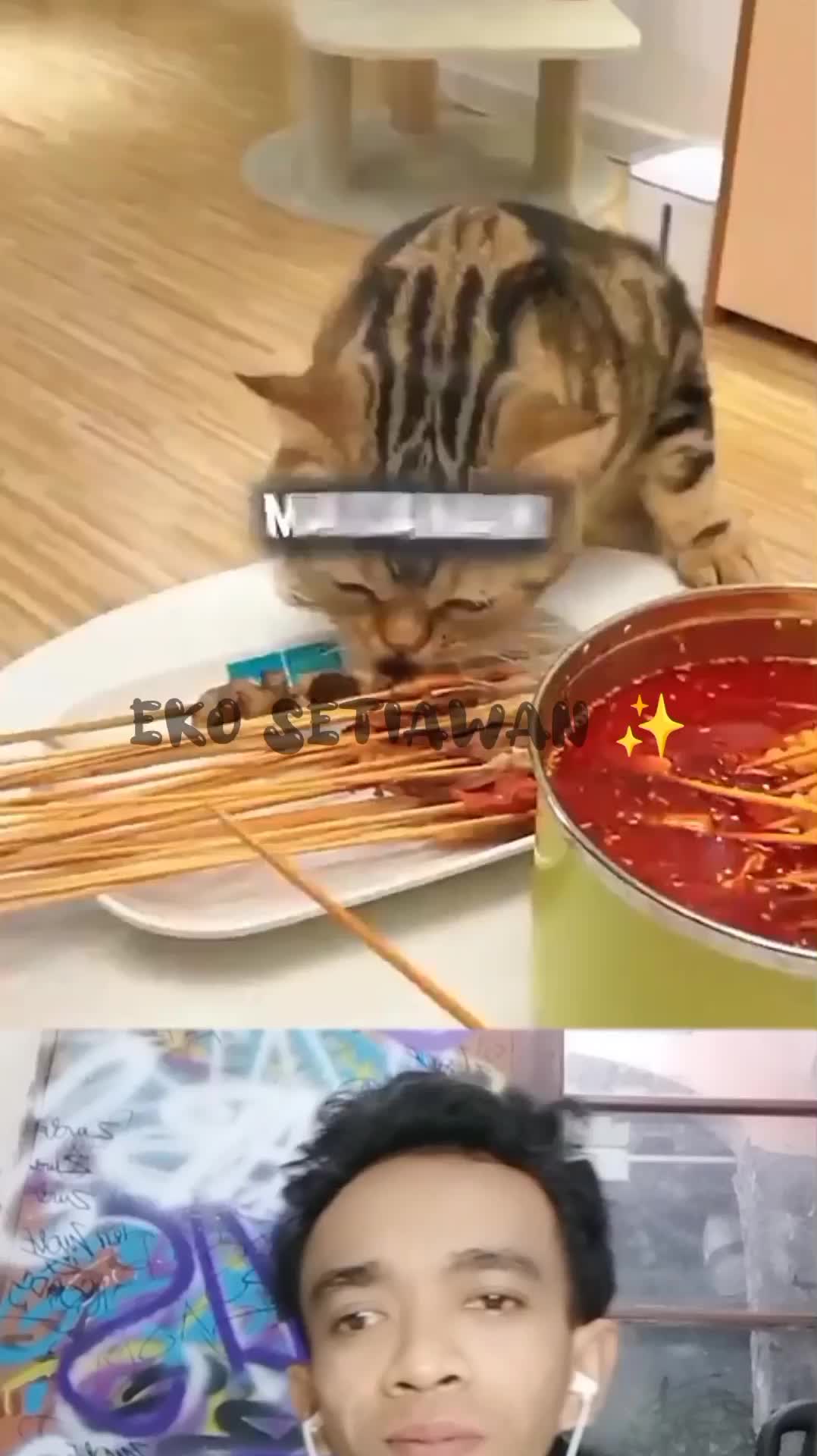 kucing ini sangat menyukai makanan apapun ?