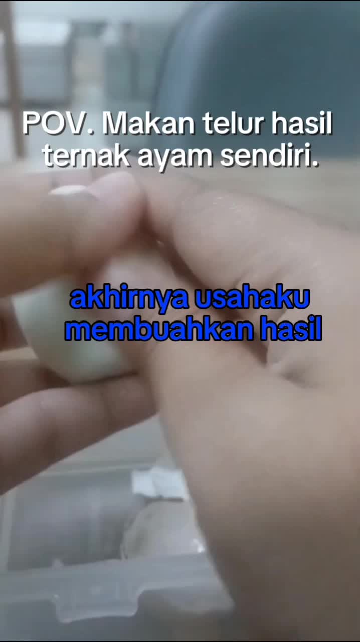 siapa yang mau gaji utuh tapi gizi tetap terpenuhi? 
semangat yuk swasembada pangan sendiri #swasembadapangan
#ternakayamsendiri