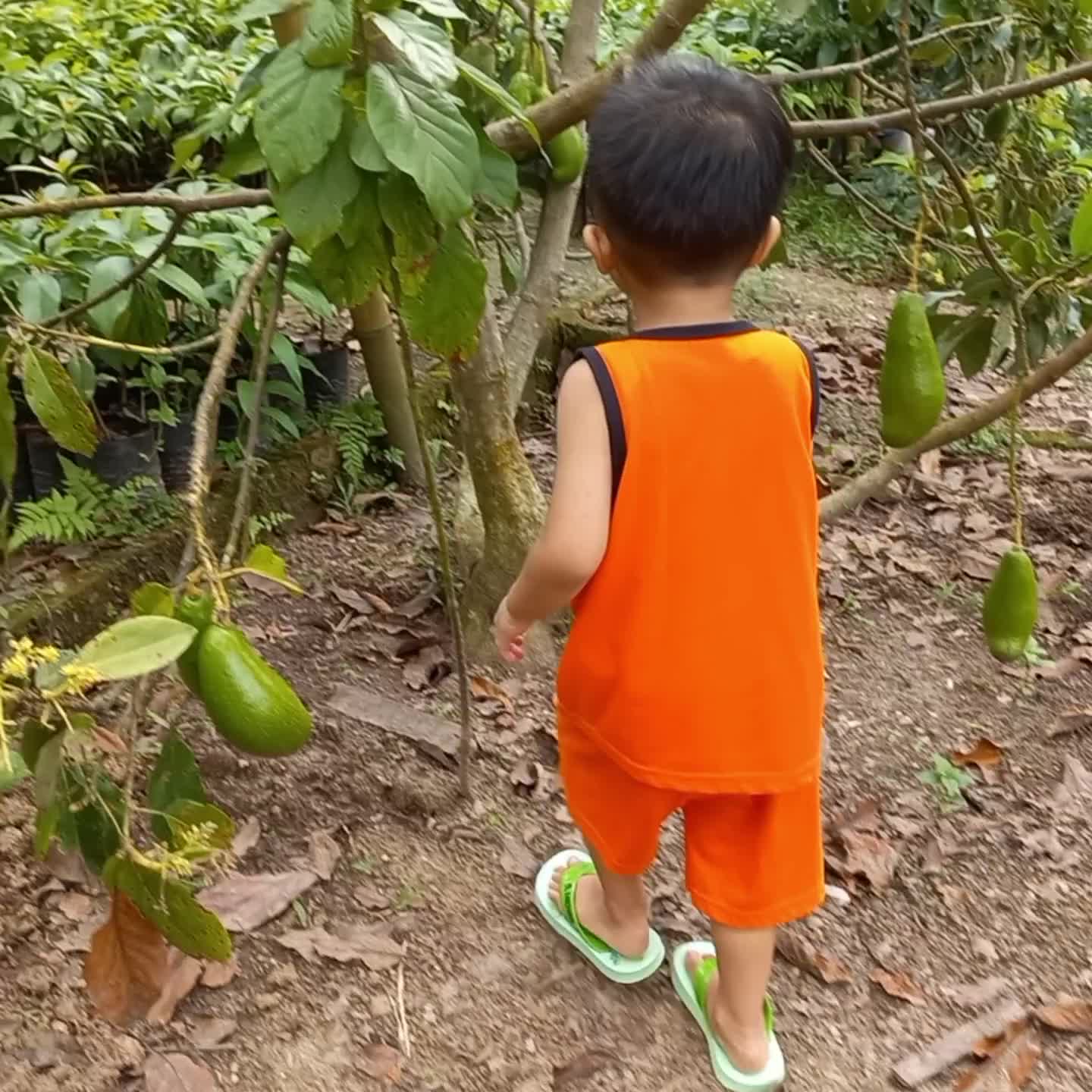 model pertanian masa depan