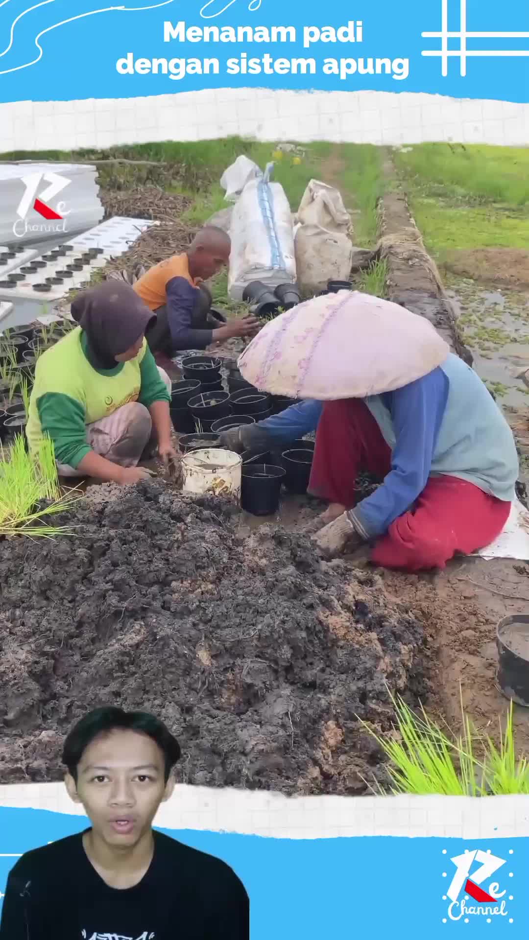 menanam padi mengunakan sistem apung untuk menghindari banjir  #viral_video​ 
#shorts​
#RCTIPlus 
#RCTIoke 
#HOTrctiplus 
#fypシ゚viral 
#1TRE