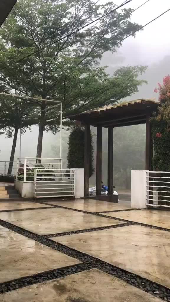 Hujan yang membuat dunia ini terasa indah