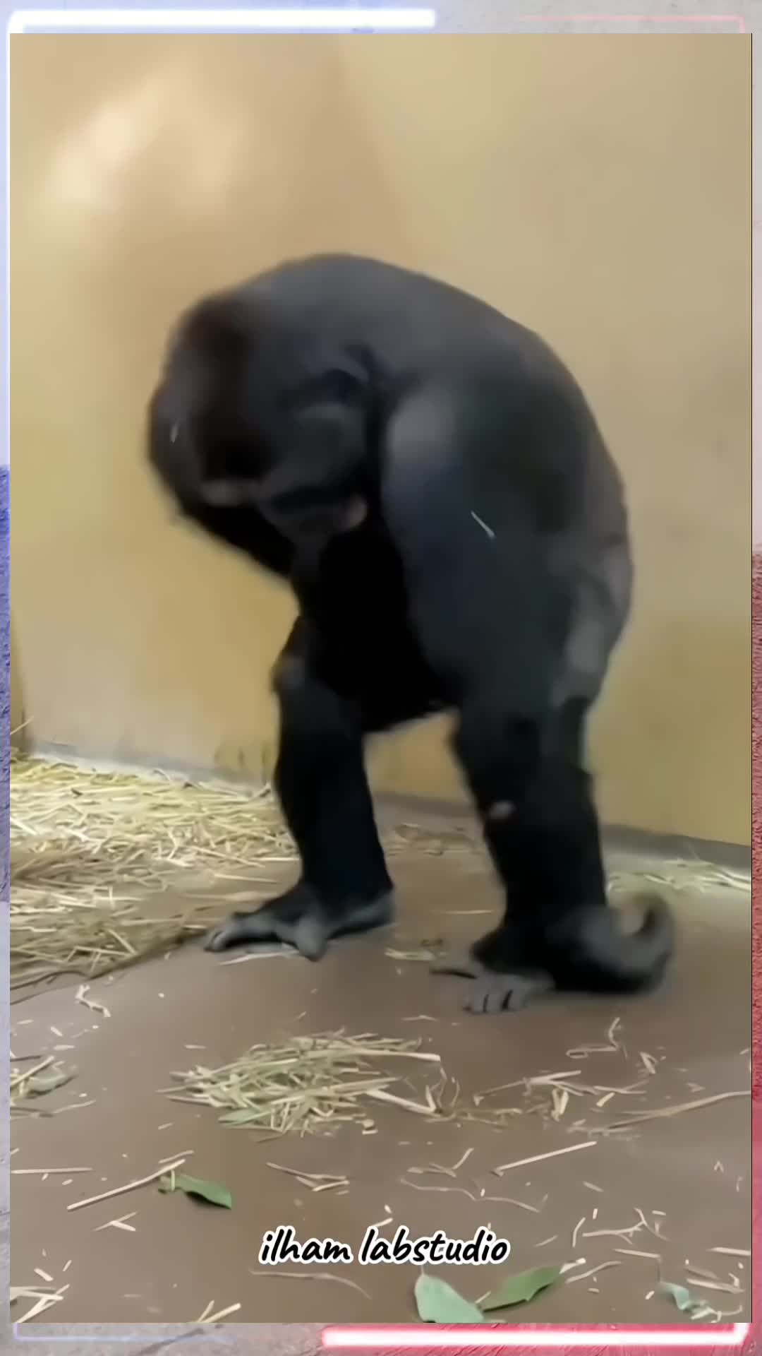 Hilangin Kebiasaan Melamun Sendiri #hiburan #komedi #kontenlucu #pov #kocak #transisi