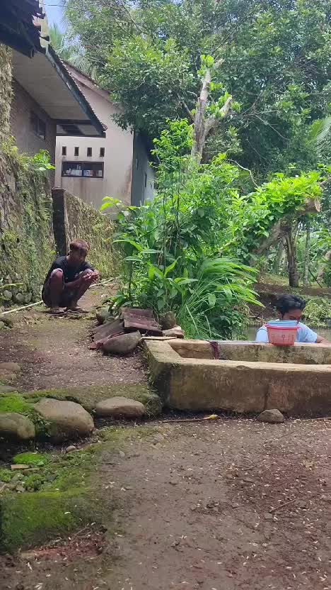 petasan #videolucu  #lucu  #komedi 