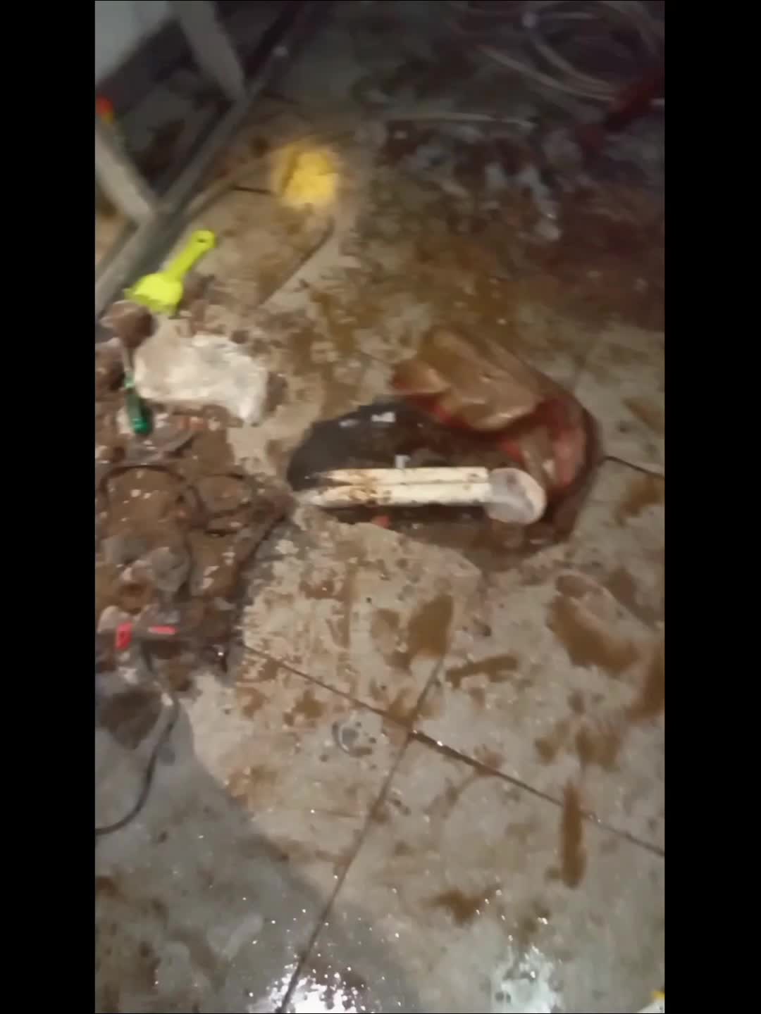 olah raga malam di kos kosan 1jt