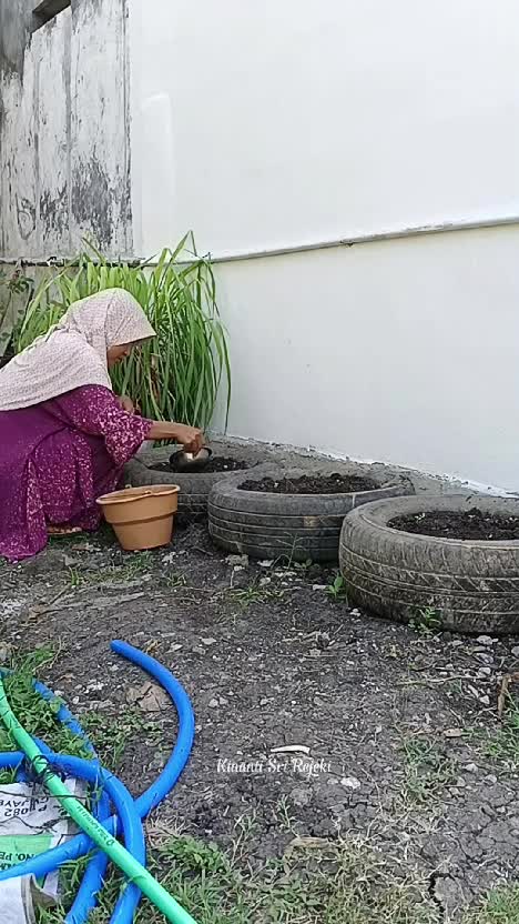 Aktivitas pagiku di kebun samping rumah
#berkebun #shortplus #HOTrctiplus #RCTIPlus #shorts #berkebundirumah 
