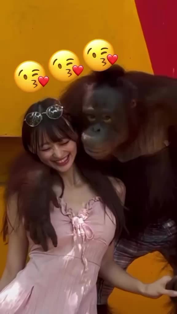 menang banyak monyet