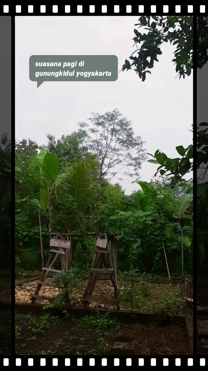  # randomvideo #selamatpagi  #fyp 