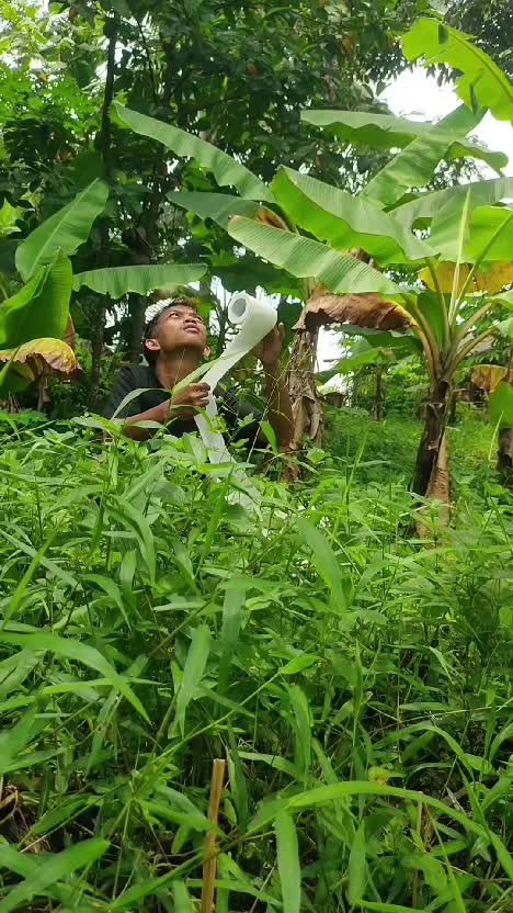 BAB #videolucu  #lucu  #komedi 