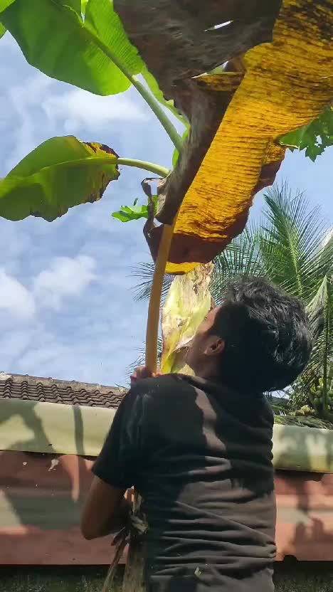 sampai terbang #videolucu  #lucu  #komedi 