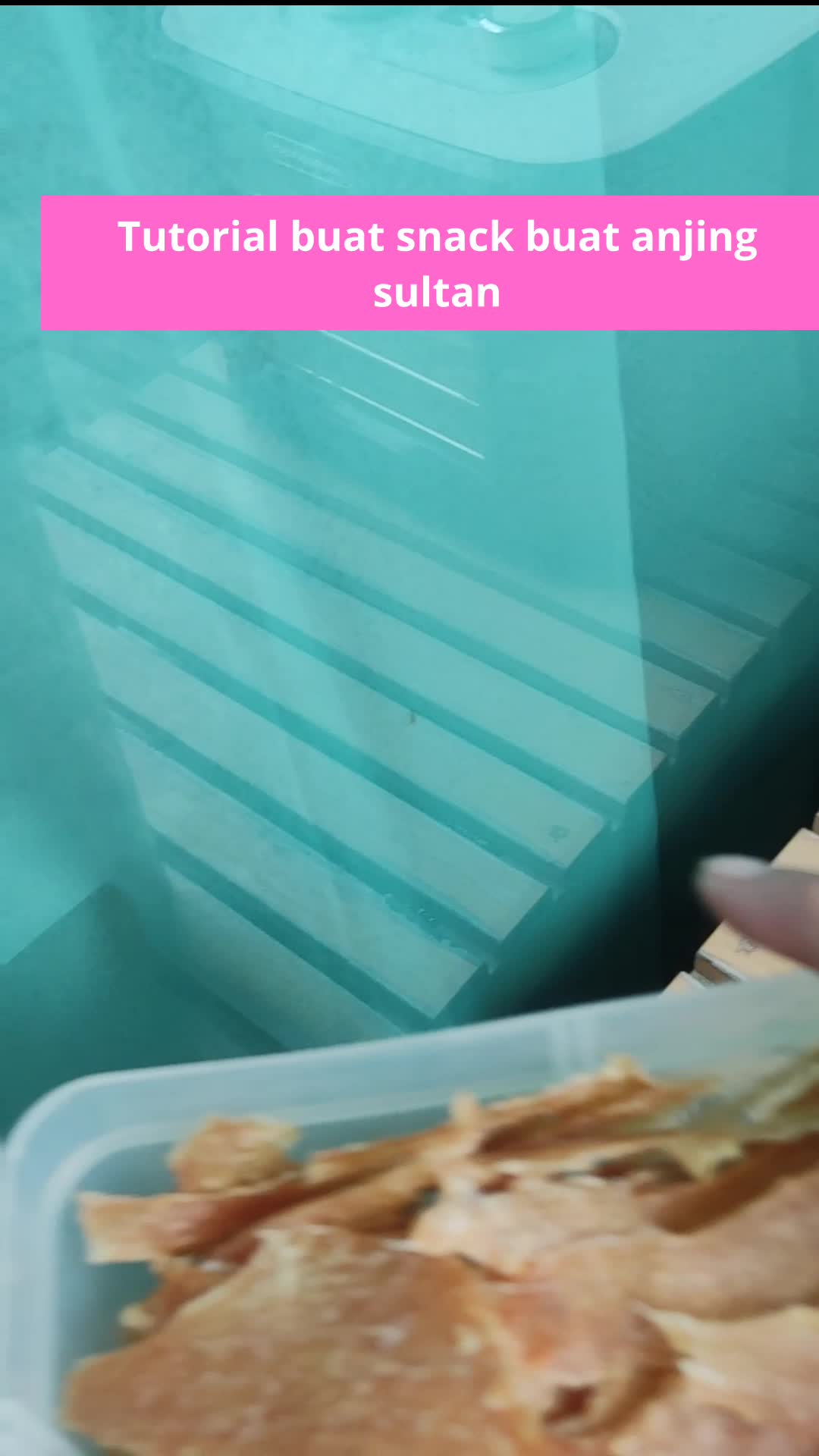 tutorial buat camilan anjing sultan #singapore 