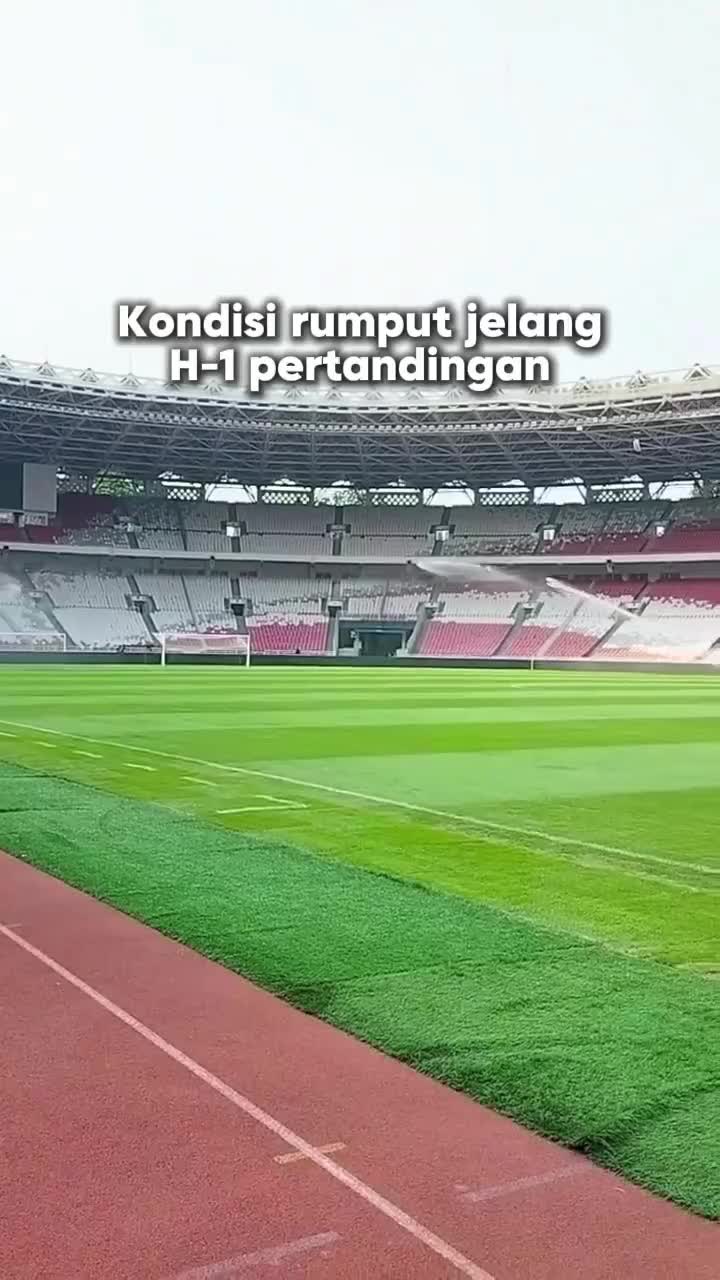 Kondisi Rumput GBK Jelang Timnas Indonesia Vs Irak