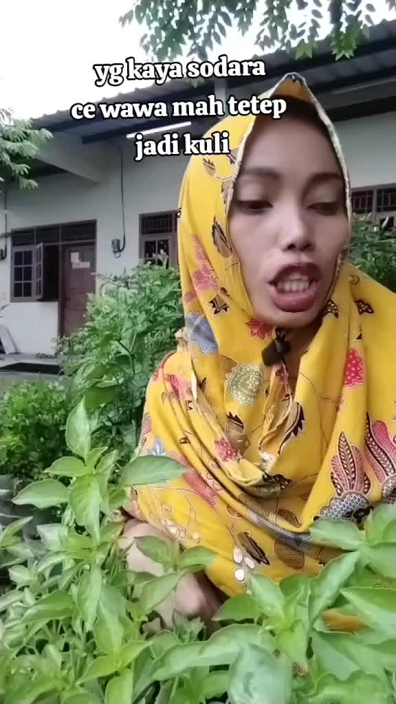 ce wawa tetep jadi kuli