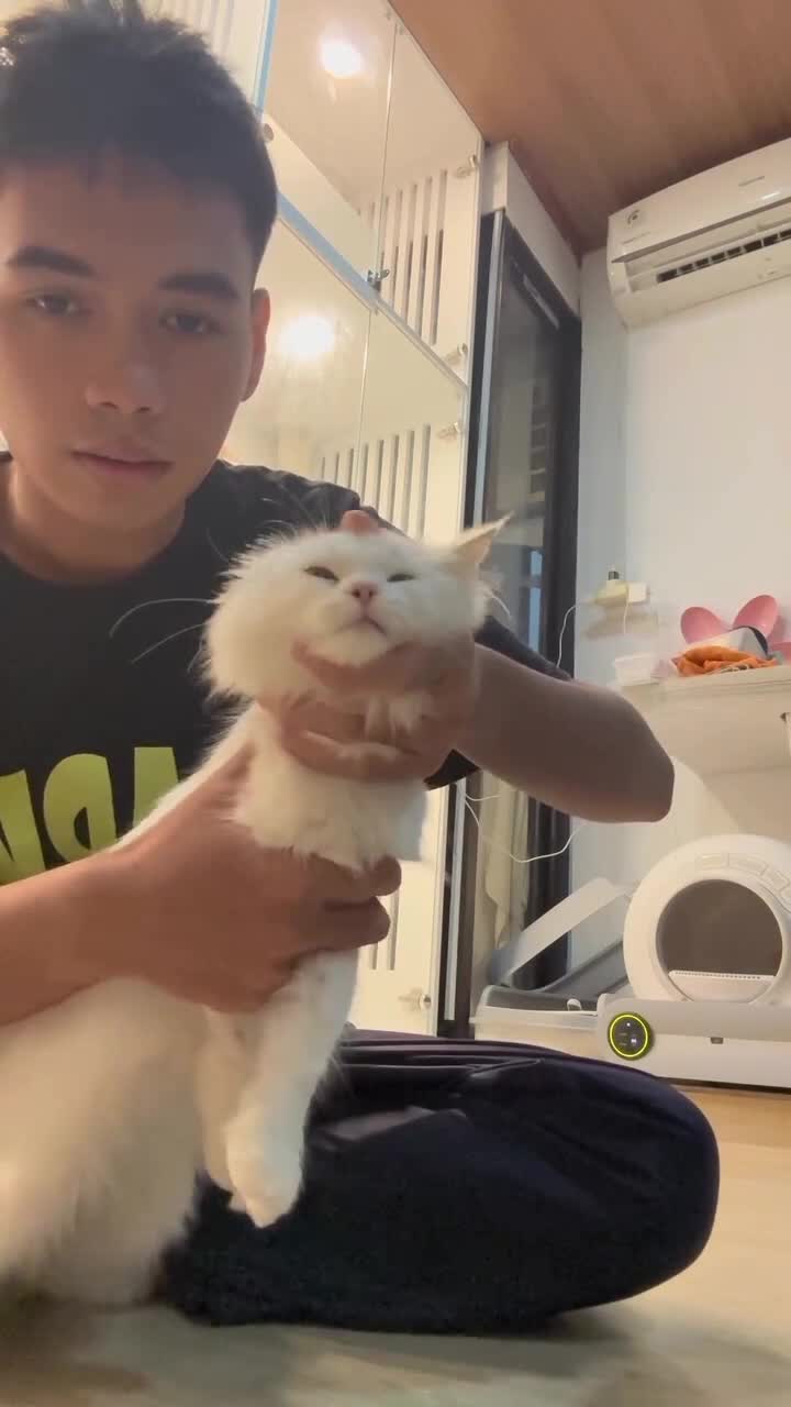 😪
#Fyp #kucing #kucingindonesia #videoviral #videolucu #videongakak #ngakak #lucu #like #dagelan #HOT