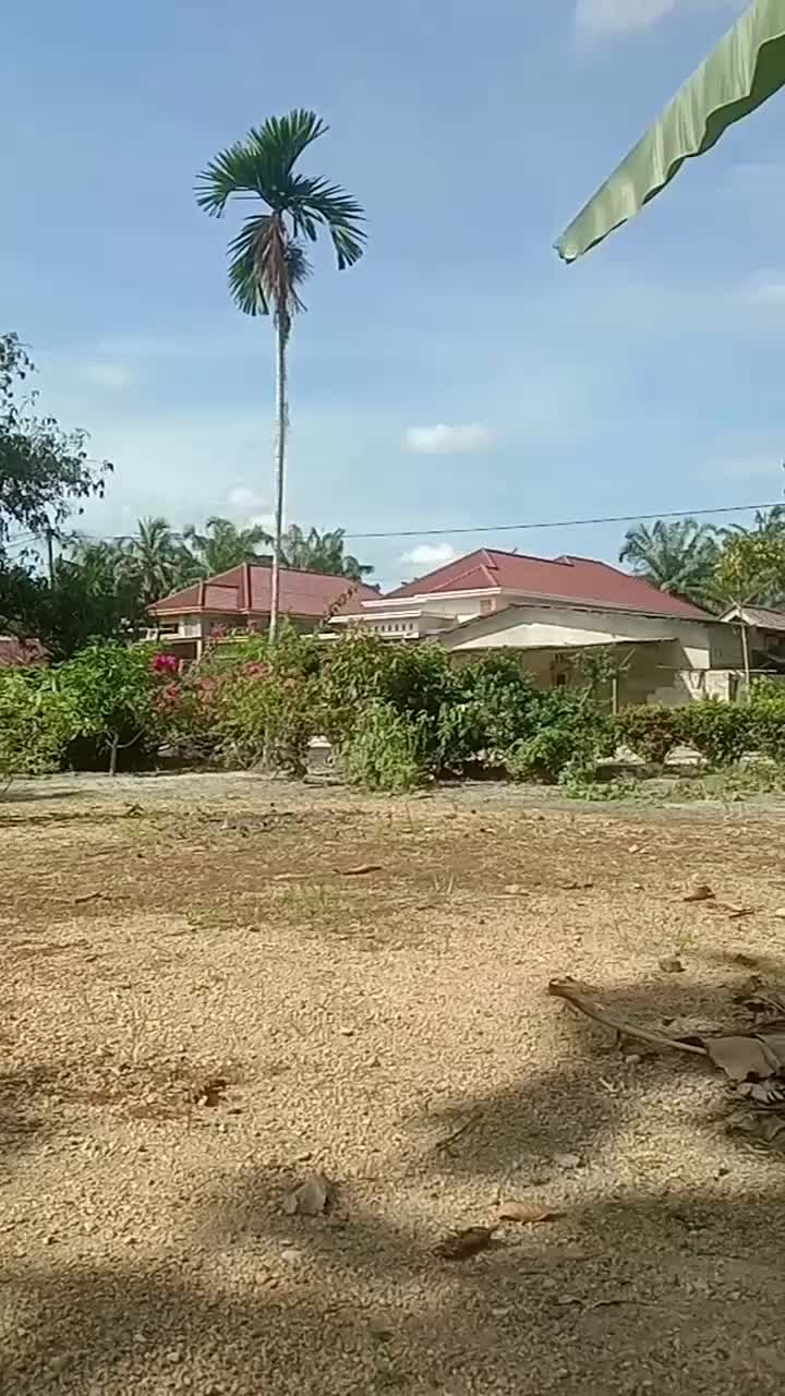 cuacanya cerah sekali