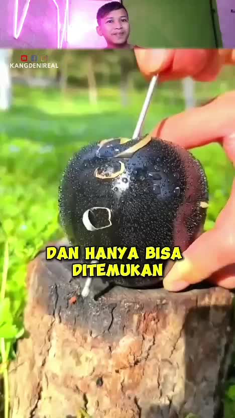 apa yang akan terjadi  #RCTIPlus  #RCTIoke  #rcti #1TRENDING  #Viral 