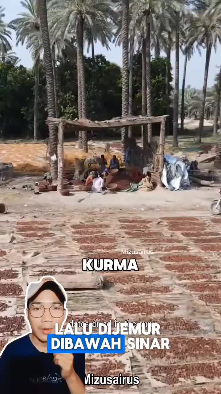 Ternyata seperti ini prosesnya.. 
Dari panen di ladang hingga jadilah kurma super manis berkualitas ekspor.. #reels #videoreaction #reaction