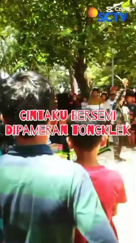 sjns