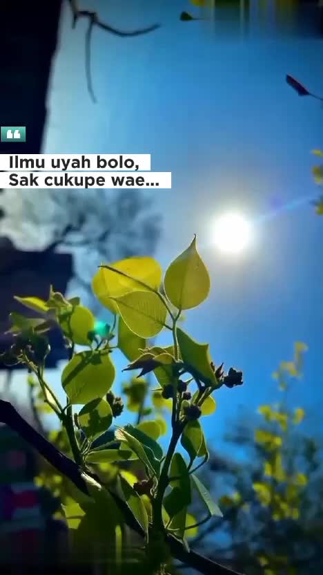  #quotes 
 #ilmu_uyah
#motivasi 
 #pesanmotivasi 