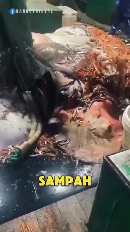 lihat ini  #RCTIPlus  #RCTIoke  #rctiofficial  #Viral  #trending  #hiburan 