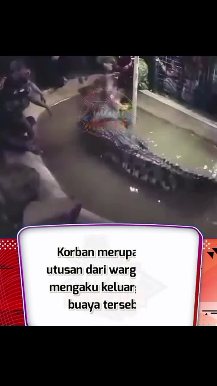 Detik-detik seorang kakek diterkam biaya
 #rctiviral  
 #RCTIPlus 
 #HOTrctiplus 
 #RCTIoke 
 #rctiofficial 