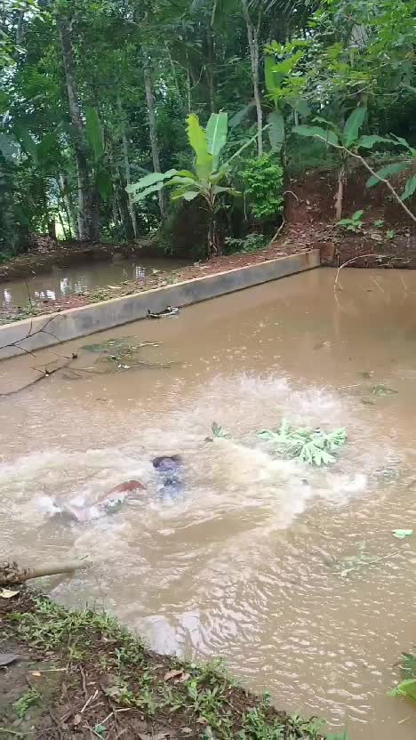 kena tipu #videolucu  #lucu  #komedi 