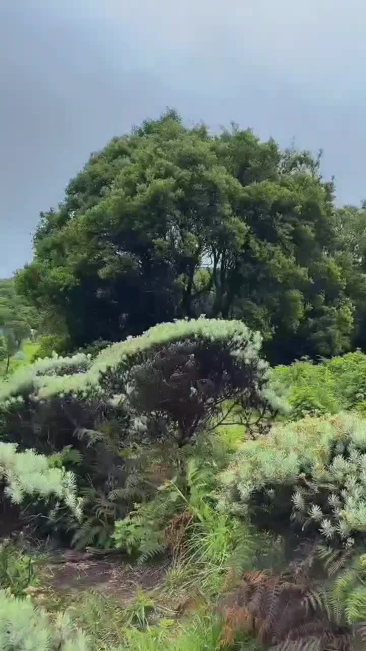 😌