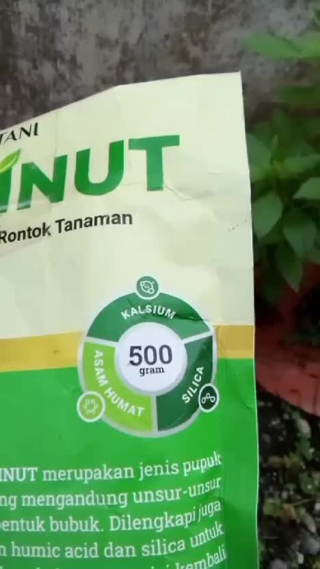 Pingin nutrisi yang bikin tanamanmu tumbuh optimal yuk pilih Calsinut aja #calsinut #kebunshaka #rekomendasipupuktanamanyangterbaik #bestgar