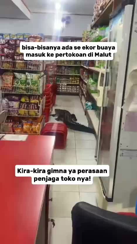 buaya masuk toko  #RCTIPlus  #HOTrctiplus  #RCTIoke  #buayamasuktoko  #videoviral  #fypterbaru  #viralhariini 
