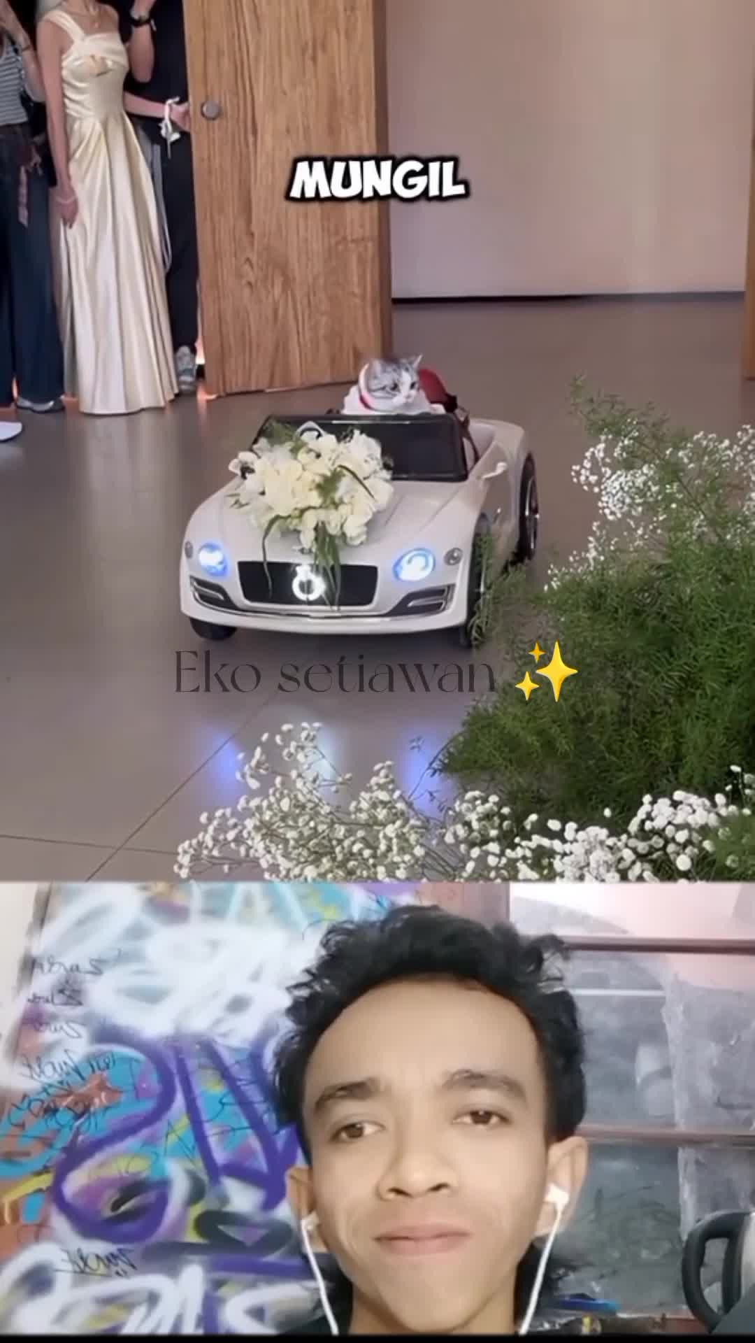 kucing ini menjadi tamu kehormatan di acara pernikahan ?