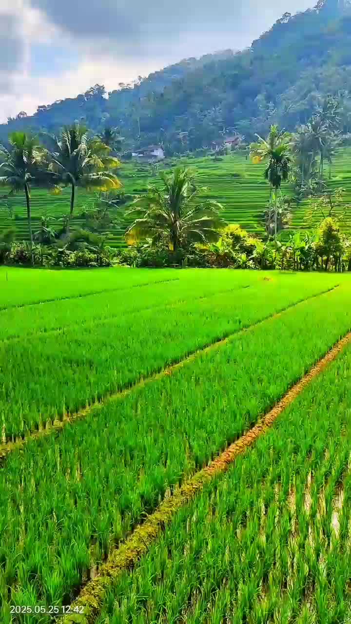 bikin betah  #short  #HOTrctiplus  #RCTIPlus  #fyp 