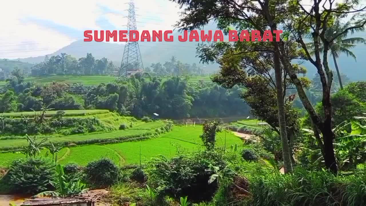 Suasananya bikin tenang #sawah #wisataalam #vlog #alamindonesia