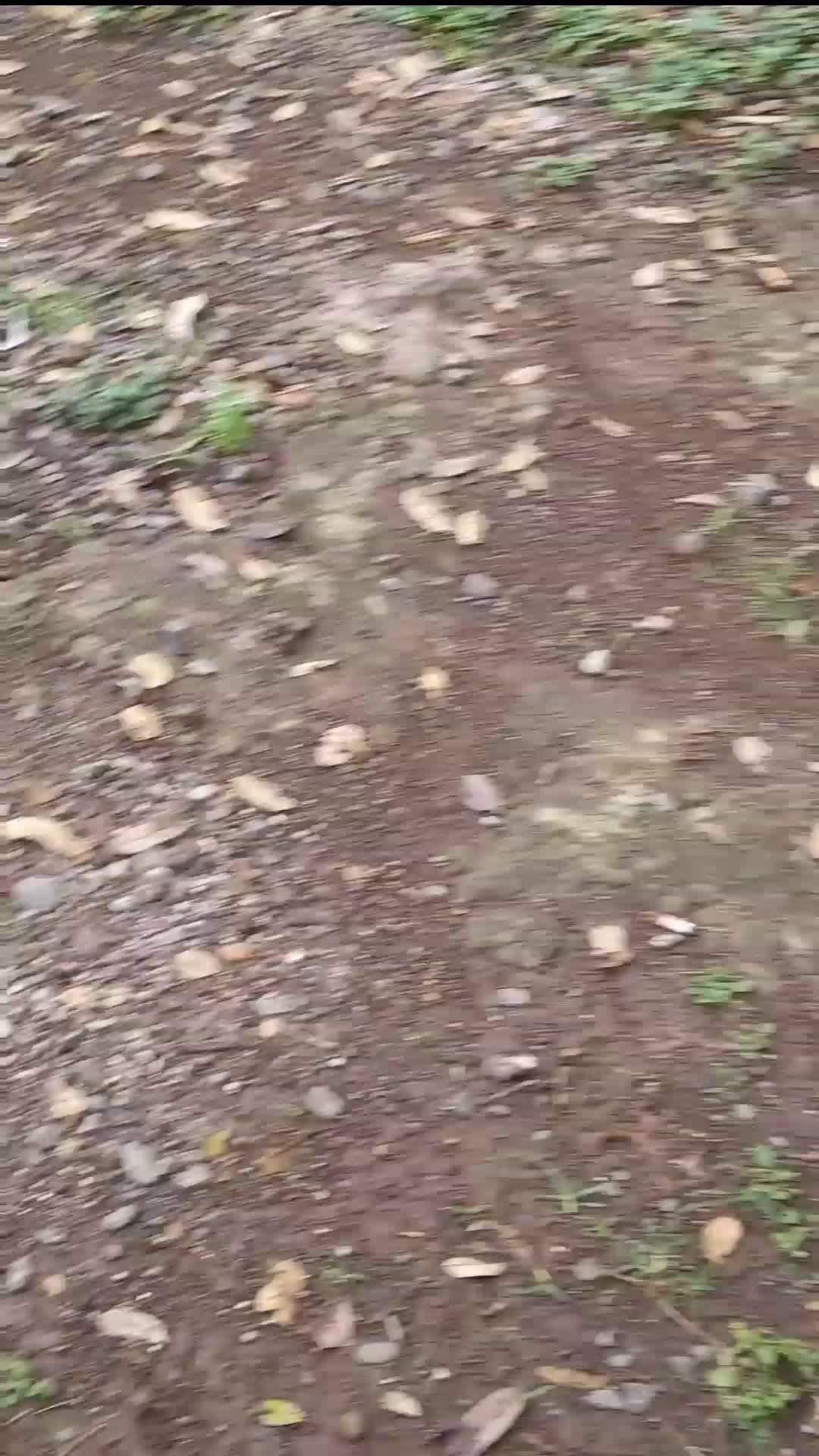 high naturally libido