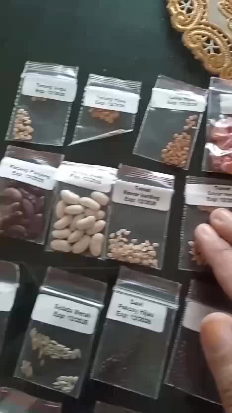 Benih seribuan, murah dapat banyak  #benihseribuan  #bibit  #benih 