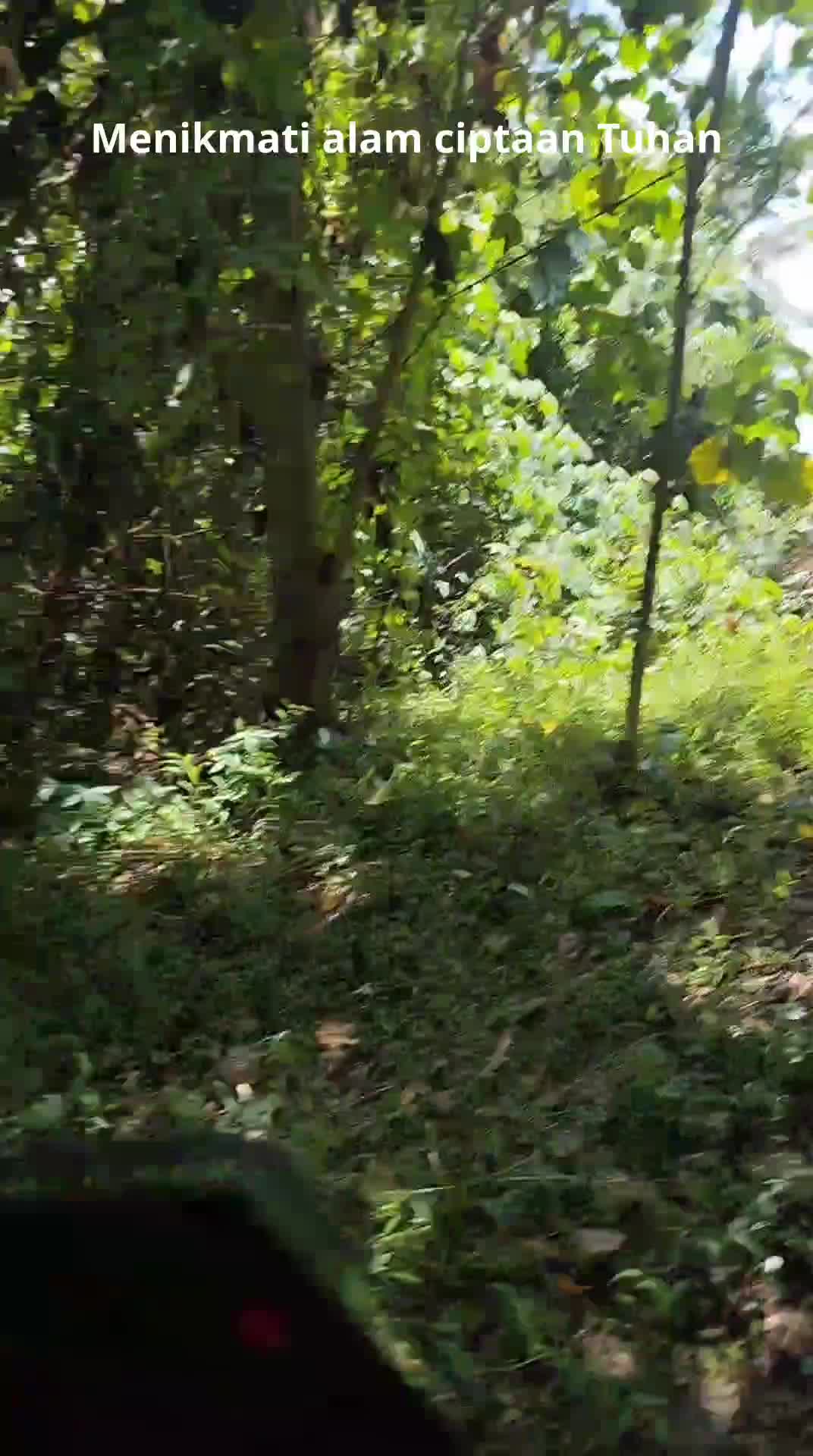 Masuk hutan  #HOTrctiplus  #RCTIPlus  #rctiofficial 