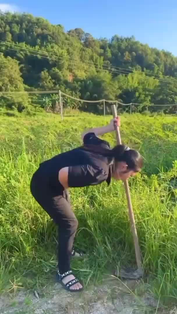 tttt