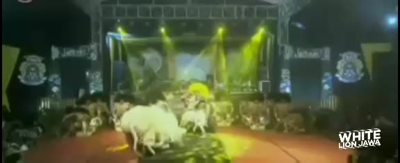 Tahklukan singa (tari jawa) #Kudanya Versi Apa Nih? #beritajateng  #Motor idola mbak2 Temanggung 