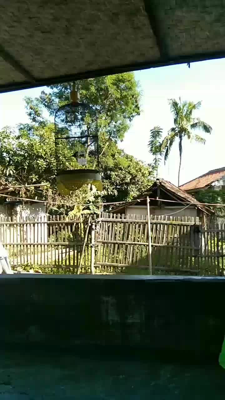  #HOTrctiplus  #short  #RCTIPlus 