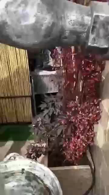 KERAN INI TAMPAK MELAYANG #fyp #fypシ゚viral #HOTrctiplus #RCTIPlus #viral #rcti #rigelagency