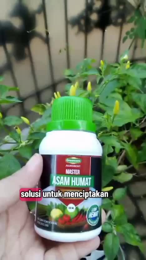 super asam humat dari greencore  #asamhumat