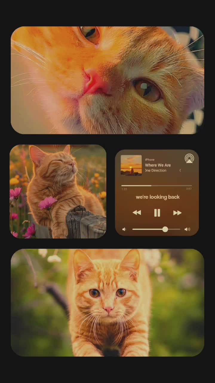 selamat malam . yok saling folow