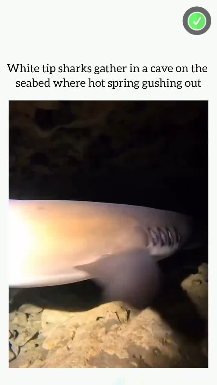 This Will Blow Your Mind! Part 135🔥 #creativeprocess #innovation #trendingnow #inspiration